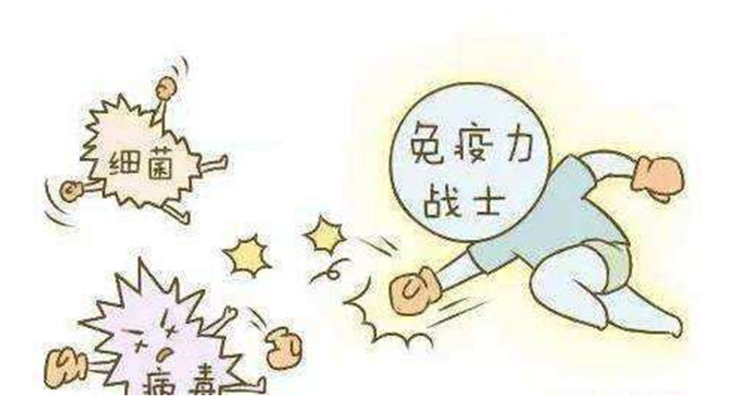 1583212263654685.png 4.png