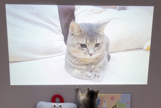 1734923710649414.png 7.png