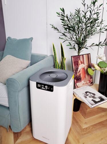 1598518343123501.jpg 1.jpg